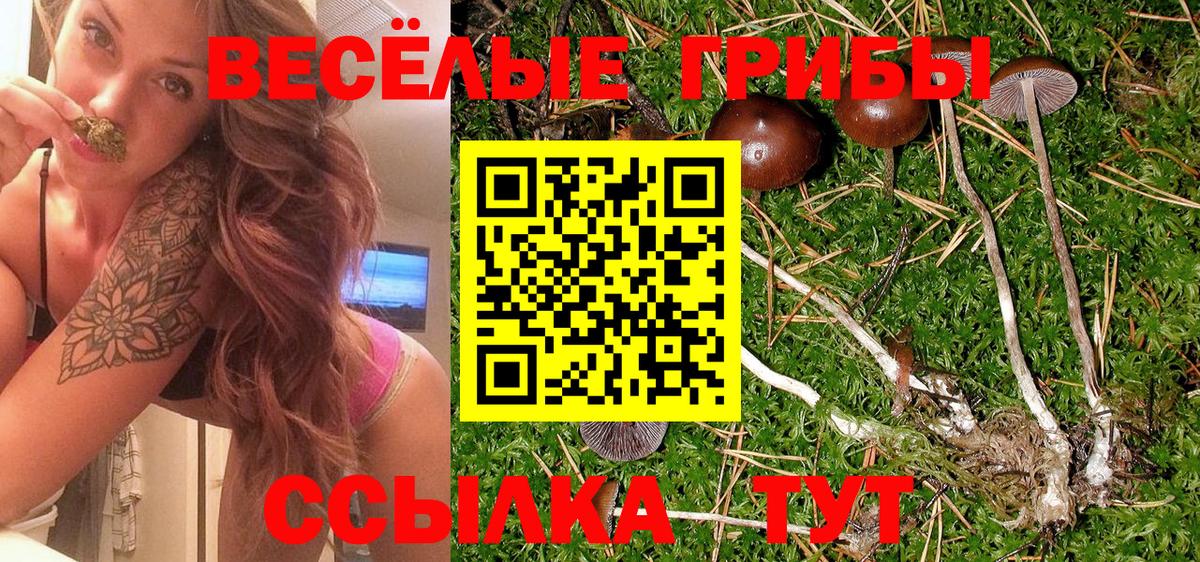 Псилоцибиновые грибы Magic Shrooms Нурлат